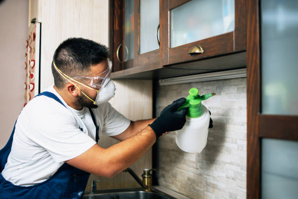 Best Cockroach Control Services  in Lasalle, IL