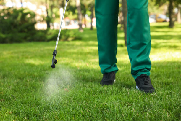 Best Termite Control Services  in Lasalle, IL
