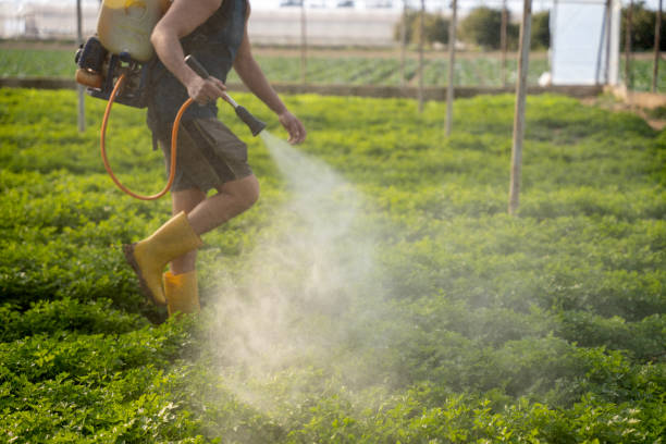Best Local Pest Control Services  in Lasalle, IL