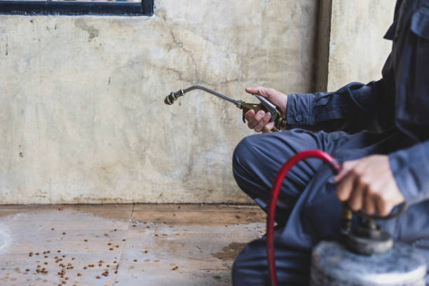 Best Pest Removal Services  in Lasalle, IL