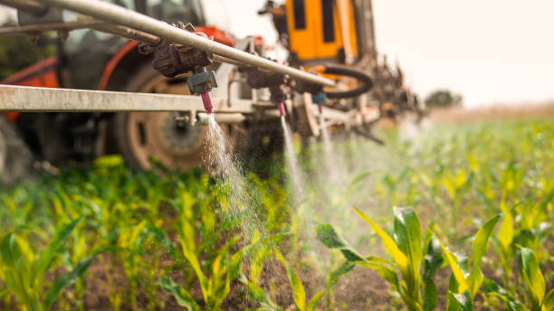 Best Pest Control Cost  in Lasalle, IL